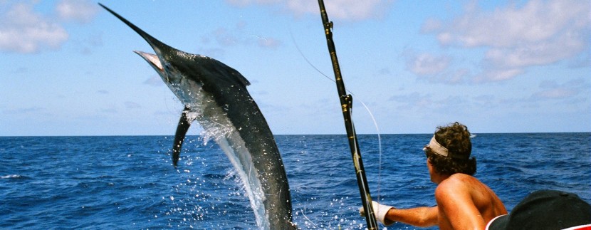 Costa Rica Fishing: Greatest sportfishing location in the world