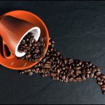 Costa Rican Grown Coffee Beans