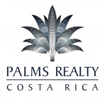 palms international realty information