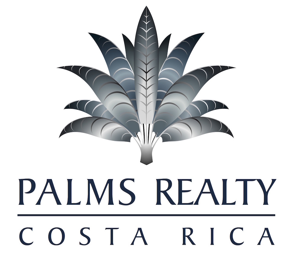 logo for palms international real estate in costa rica